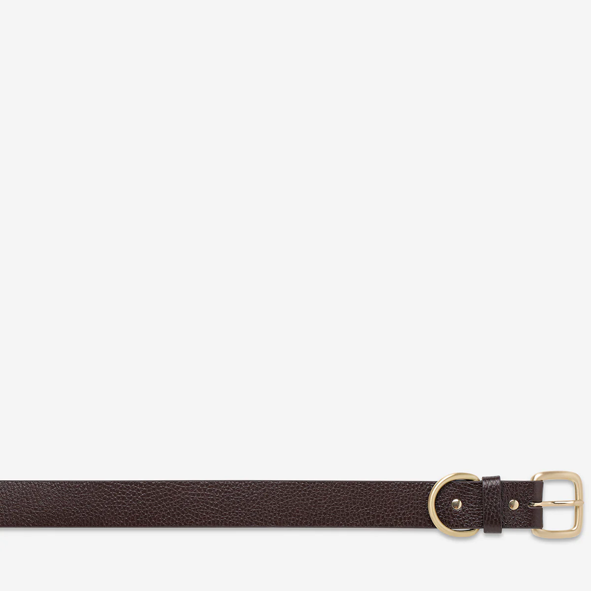 Disarm Belt - Choc/Gold - Image 5