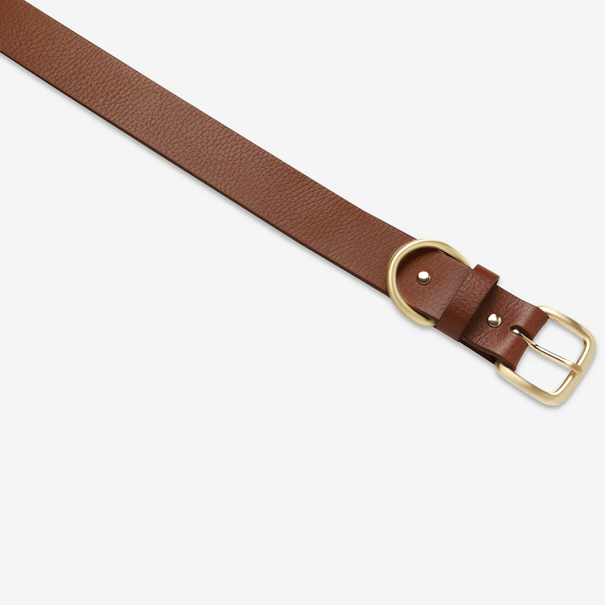 Disarm Belt - Tan/Gold - Image 4