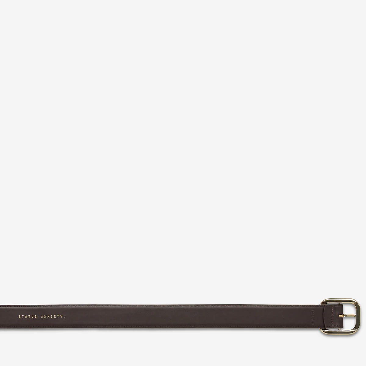 Falling Quiet Belt - Choc Nappa/Gold - Image 6