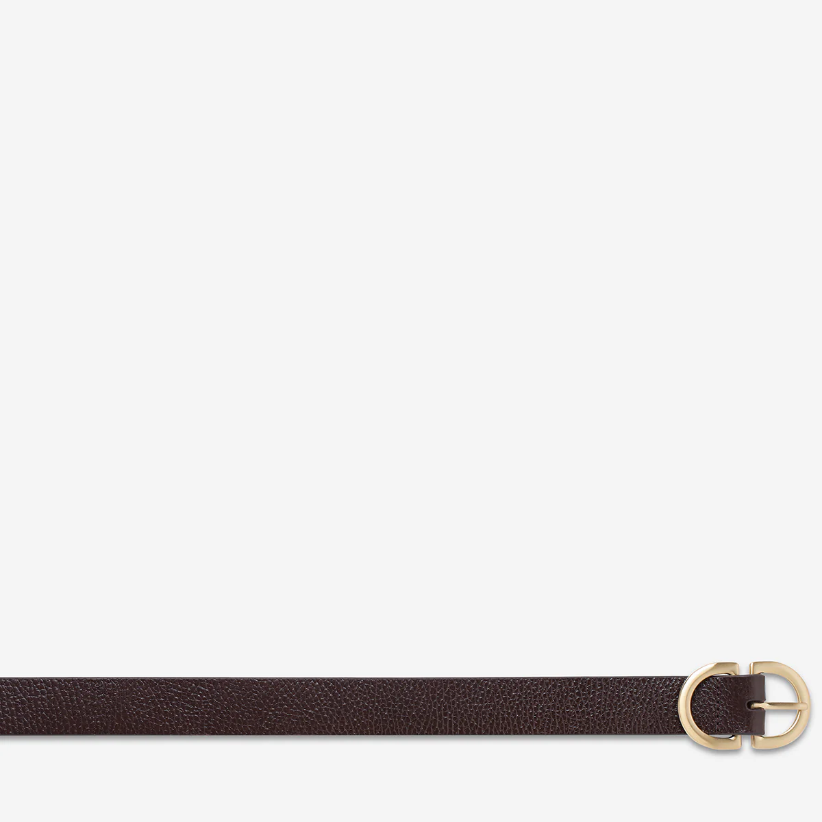 In Reverse Belt - Choc/Gold - Image 5
