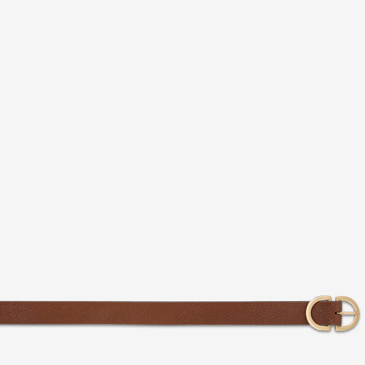 In Reverse Belt - Tan/Gold - Image 5