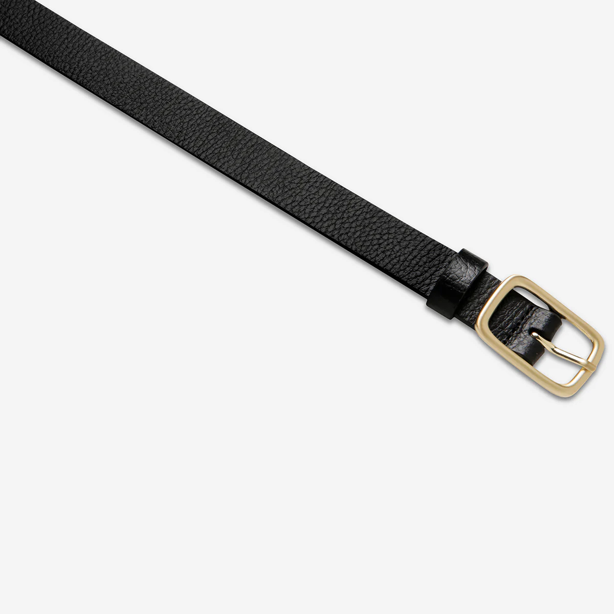 Nobody's Fault Belt - Black/Gold - Image 4