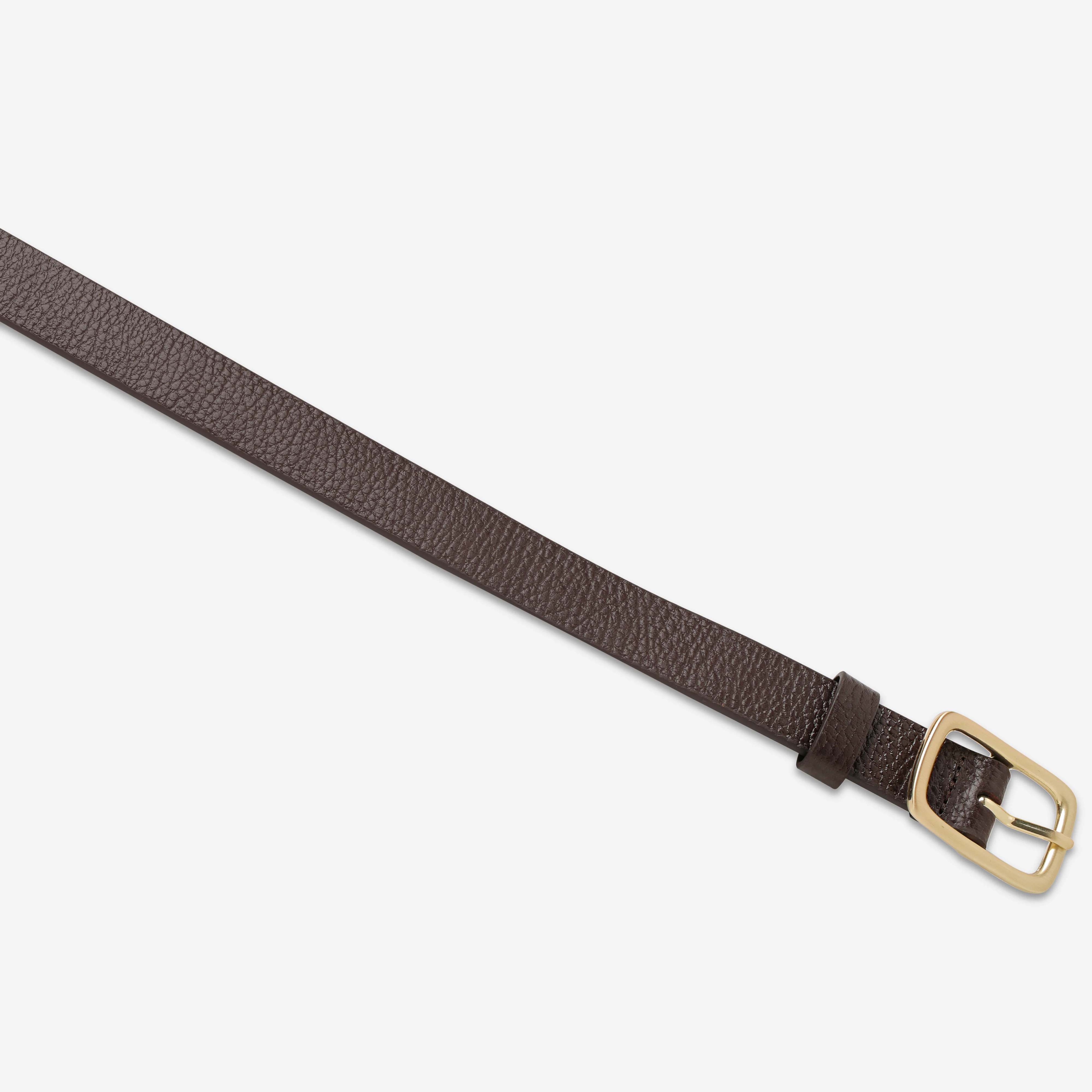 Nobody's Fault Belt - Choc/Gold - Image 4