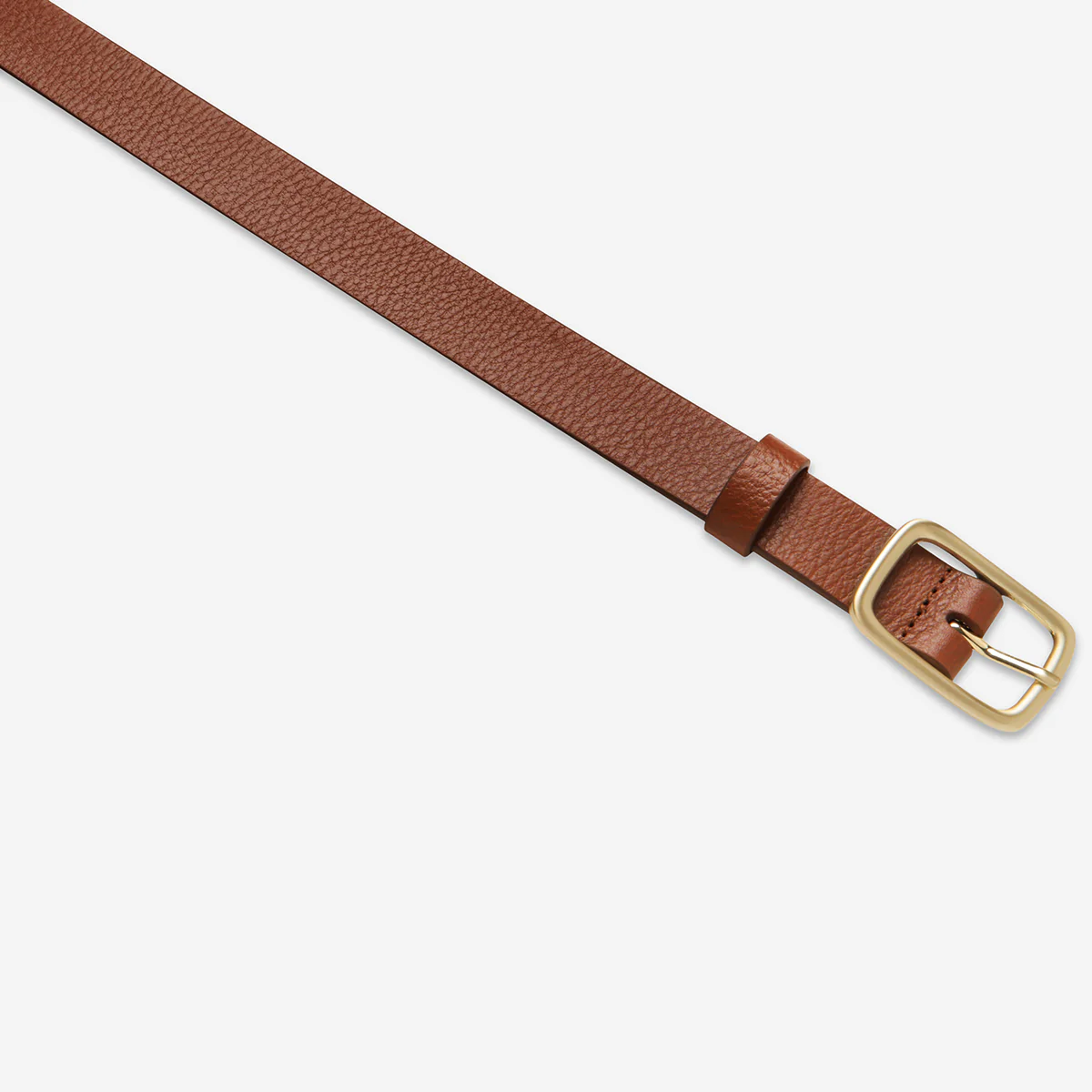 Nobody's Fault Belt - Tan/Gold - Image 4