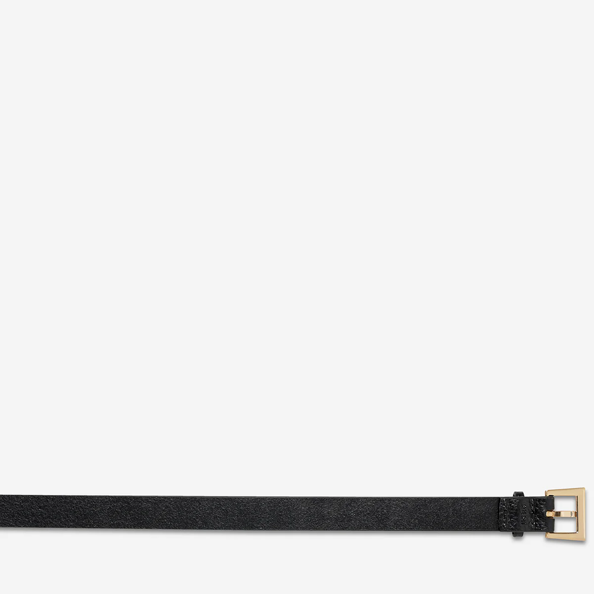Part Of Me Belt - Black/Gold - Image 6