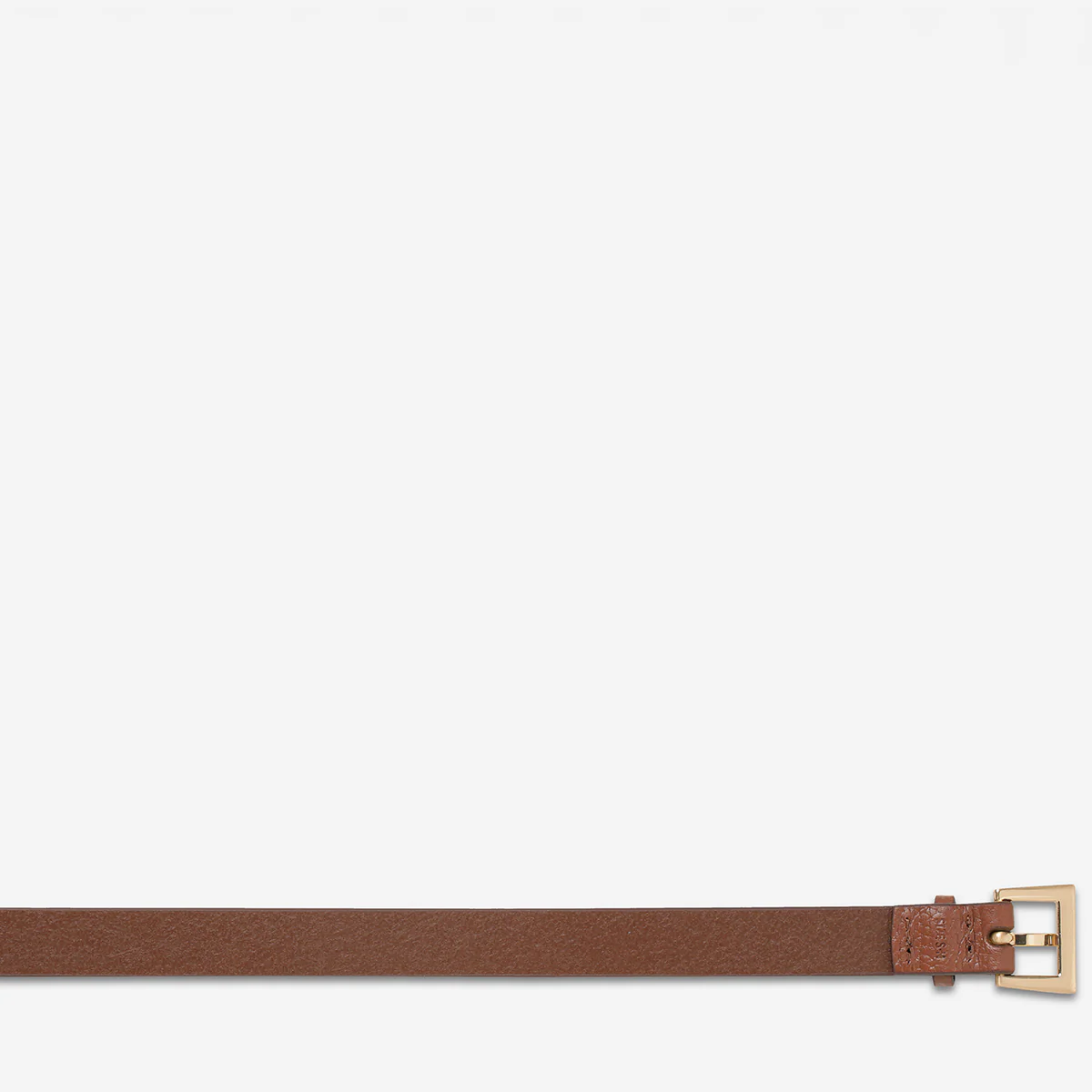 Part Of Me Belt - Tan/Gold - Image 6